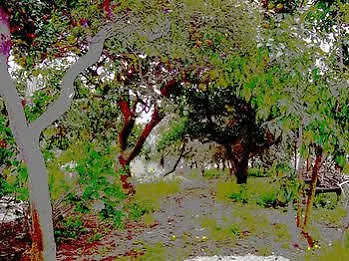 מלון Iside